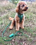 Load image into Gallery viewer, Waterproof Dog Harness Set | Leash & Collar Kit
