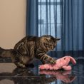 Load image into Gallery viewer, Floppy Disk Rocking Lobster Plush Toy - KIRA Pet World