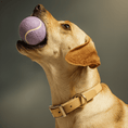 Load image into Gallery viewer, Dog with a KIRA tennis ball on its mouth against a neutral background