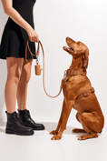 Load image into Gallery viewer, Waterproof Harness Kit - KIRA Pet World