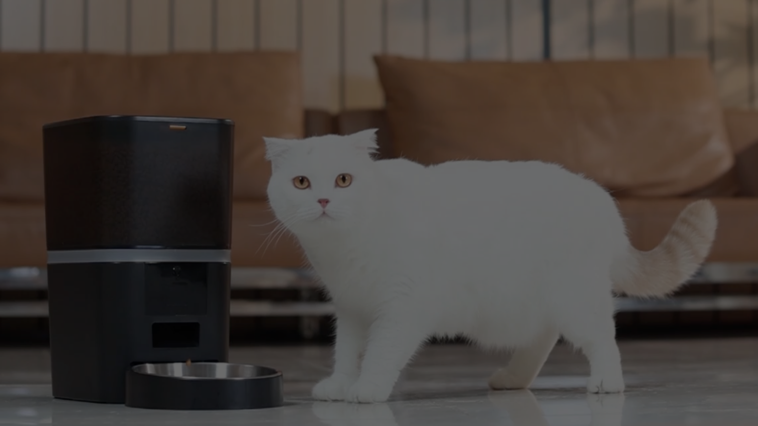 Why Smart Pet Feeders Are the Future of Pet Care & Which One Stands Out
