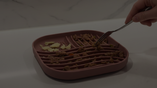 Why Using a Lick Mat Can Be Beneficial For Your Dog