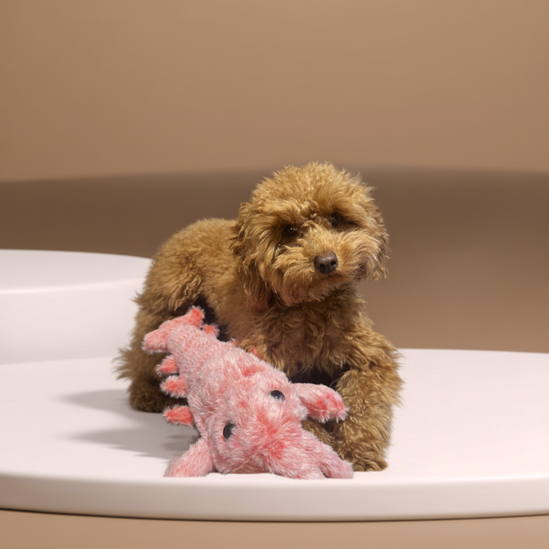 Lobster Plush Dog Toy | Rechargeable Moving Pet Toy