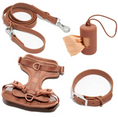 Load image into Gallery viewer, Waterproof Dog Harness Set | Leash & Collar Kit

