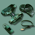 Load image into Gallery viewer, Waterproof Dog Harness Set | Leash & Collar Kit
