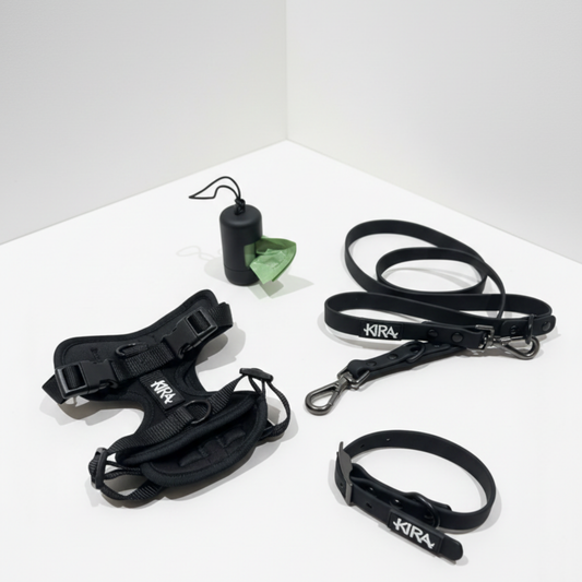 Waterproof Dog Harness Set | Leash & Collar Kit