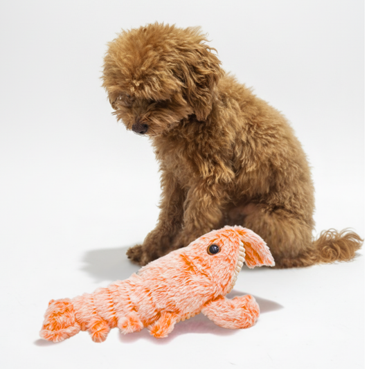 Lobster Plush Dog Toy | Rechargeable Moving Pet Toy