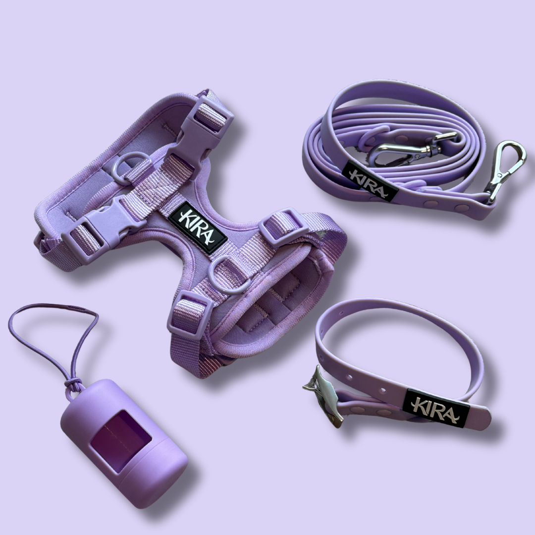 Waterproof Dog Harness Set | Leash & Collar Kit