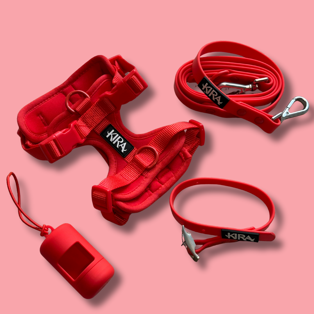 Waterproof Dog Harness Set | Leash & Collar Kit