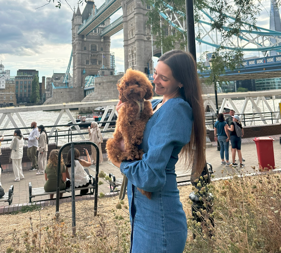 Small brown dog sitting on a bed with a plush toy.