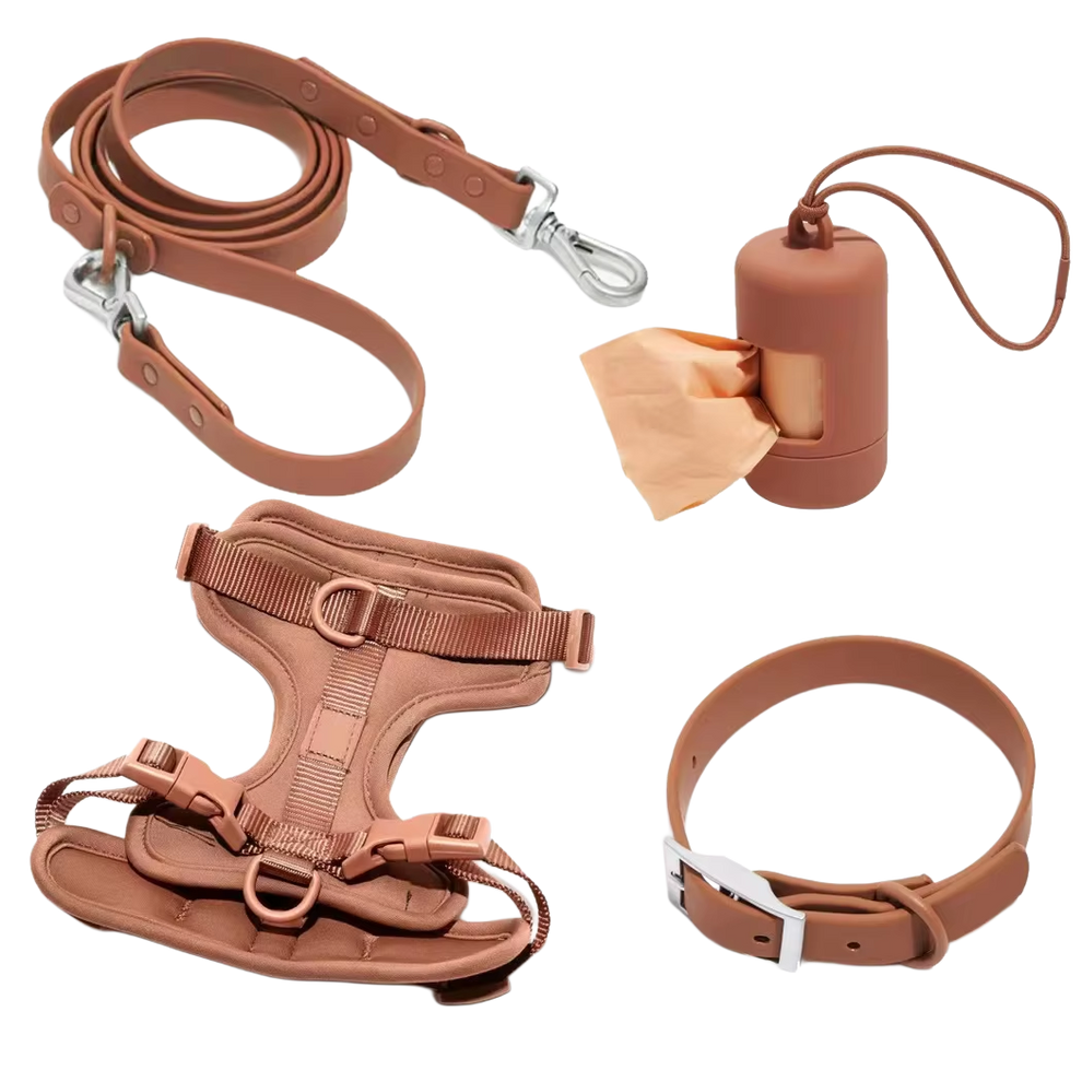 Dog harness set with leash, collar, and bag dispenser.