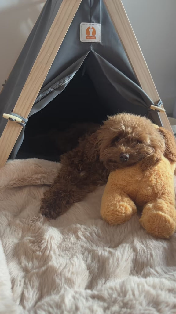Dog resting inside a modern pet teepee with a soft plush toy, showing KIRA Pet World’s cozy pet essentials.