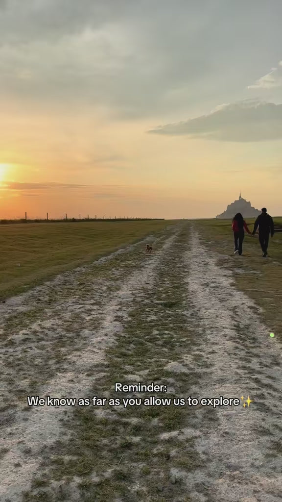 Small brown dog joyfully running along a dirt path at sunset, symbolizing freedom, exploration, and the bond between pets and their humans — KIRA Pet World.