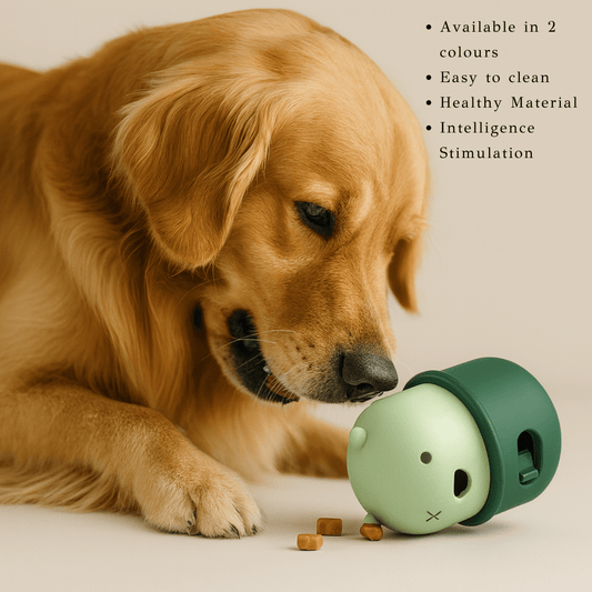 Silicon Bear Treat Dispenser - KIRA Pet World