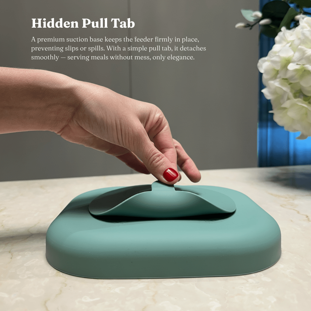 Silicone Slow - Feed Licking Pad - KIRA Pet World