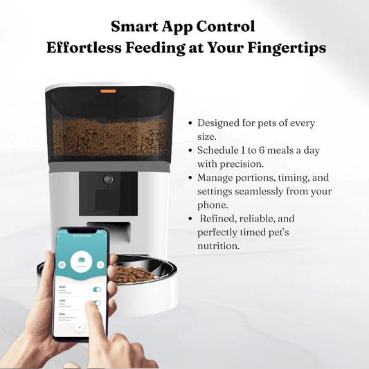 Smart Automatic Pet Feeder for Cats & Dogs - KIRA Pet World
