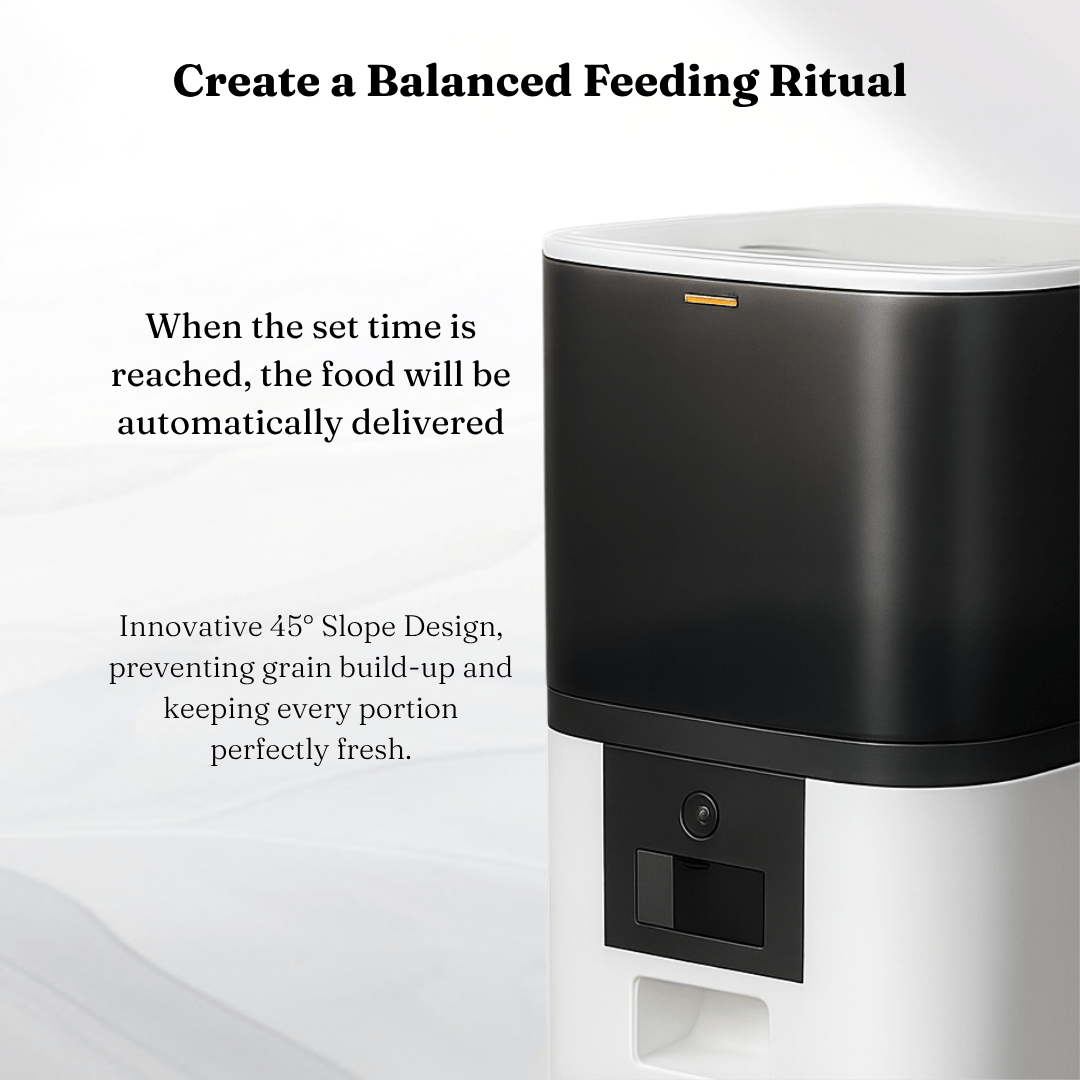 Smart Automatic Pet Feeder for Cats & Dogs - KIRA Pet World