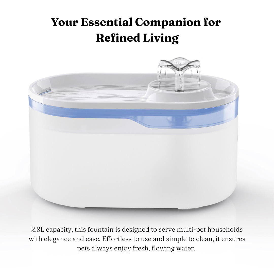 Smart Wi-Fi Pet Water Dispenser for Cats & Dogs - KIRA Pet World