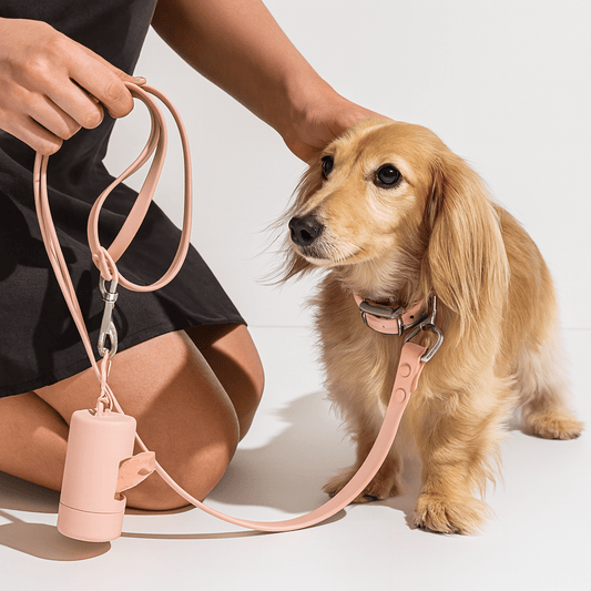 Waterproof Harness Kit - KIRA Pet World